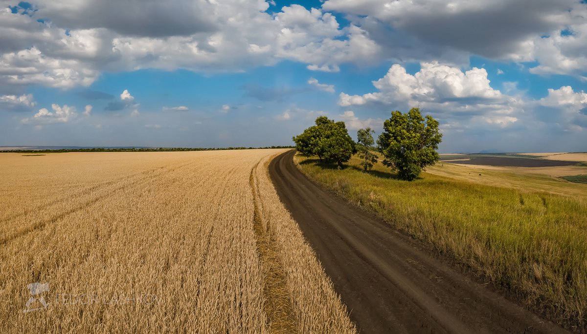 Поля Ставропольского края