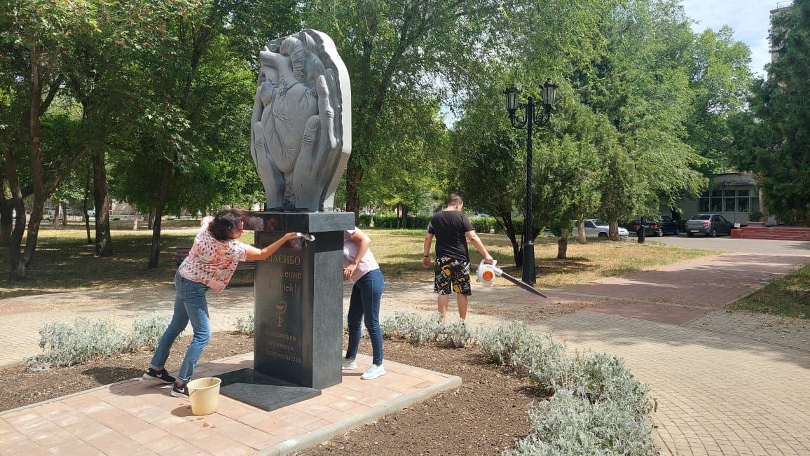 Роса невинномысск. Невинномысск Ставропольский край. Невинномысск Ставрополь. Лес Невинномысск.