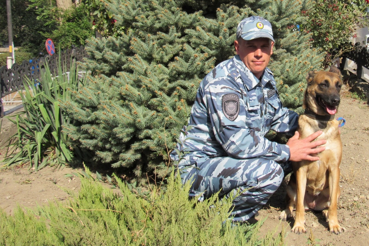 на Ставрополье служебная собака по горячим следам привела к вору, укравшему  полмиллиона | Nevworker