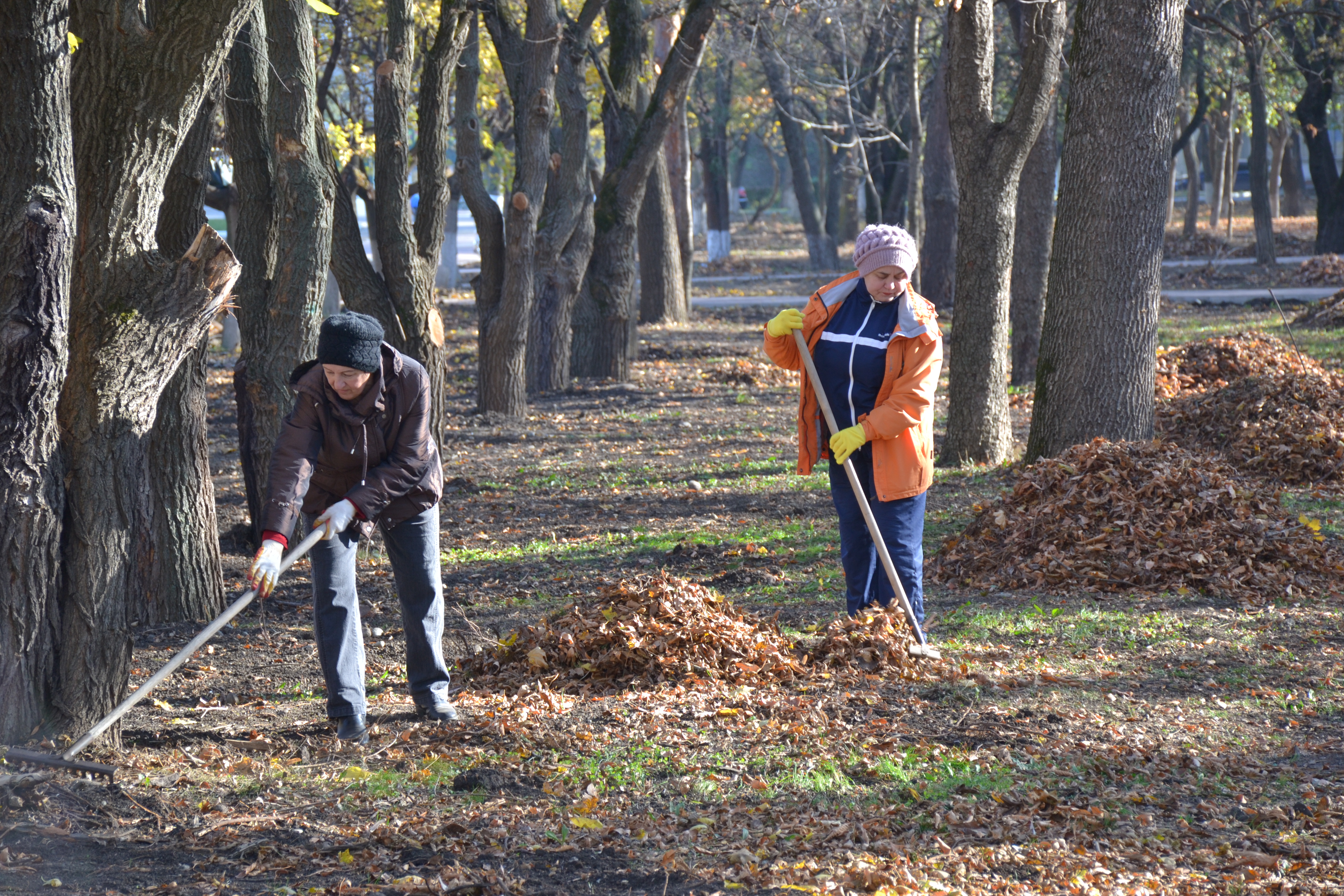 Фото субботника в городе