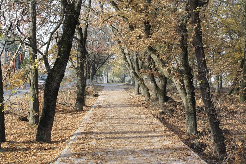 Парк победы невинномысск фото